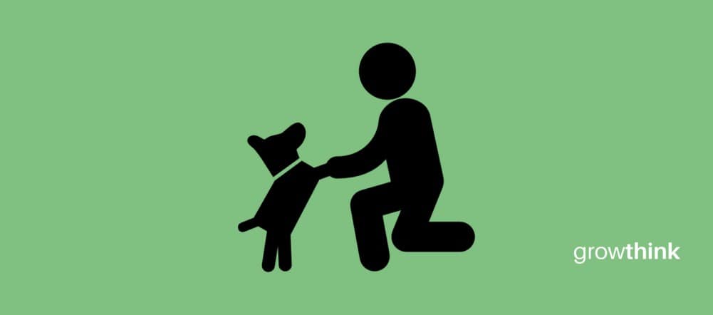How to Start a Pet Sitting Business